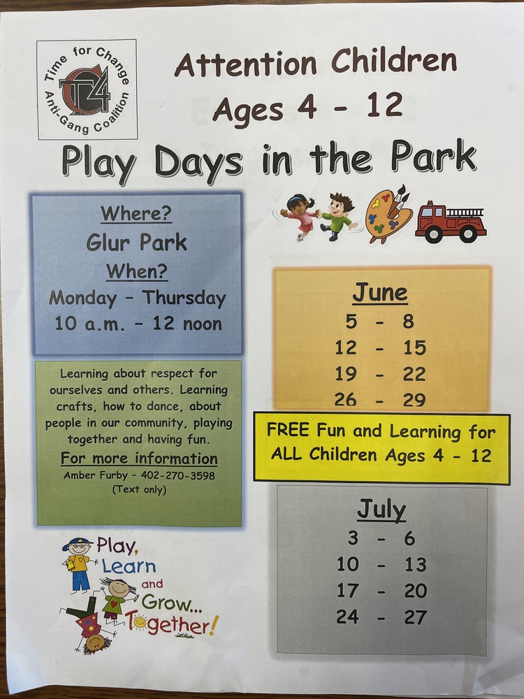 Play Days in the Park Information 