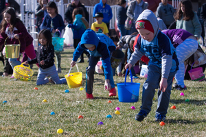 Open the news story to see all our egg hunt photos.