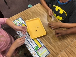 Ms. Klein's Class Grows Their Plant Knowledge